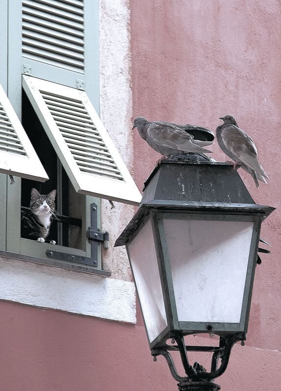 开云网页版登录入口-传奇人物的“非凡人生”：从青涩到巨星的蜕变，非凡人生 纪录片